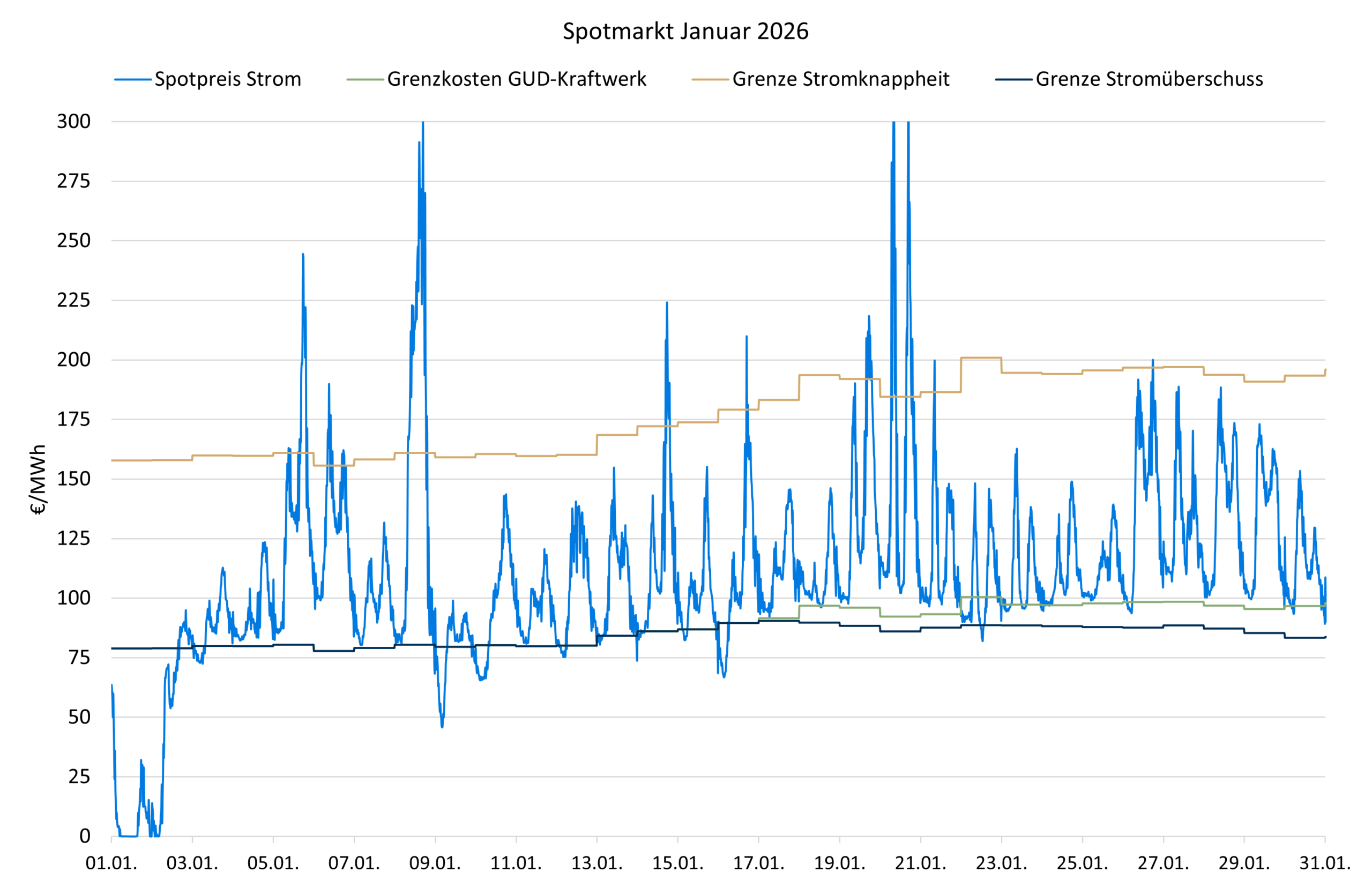Spotpreise Januar 2026 Strommarktanalyse Januar 2026